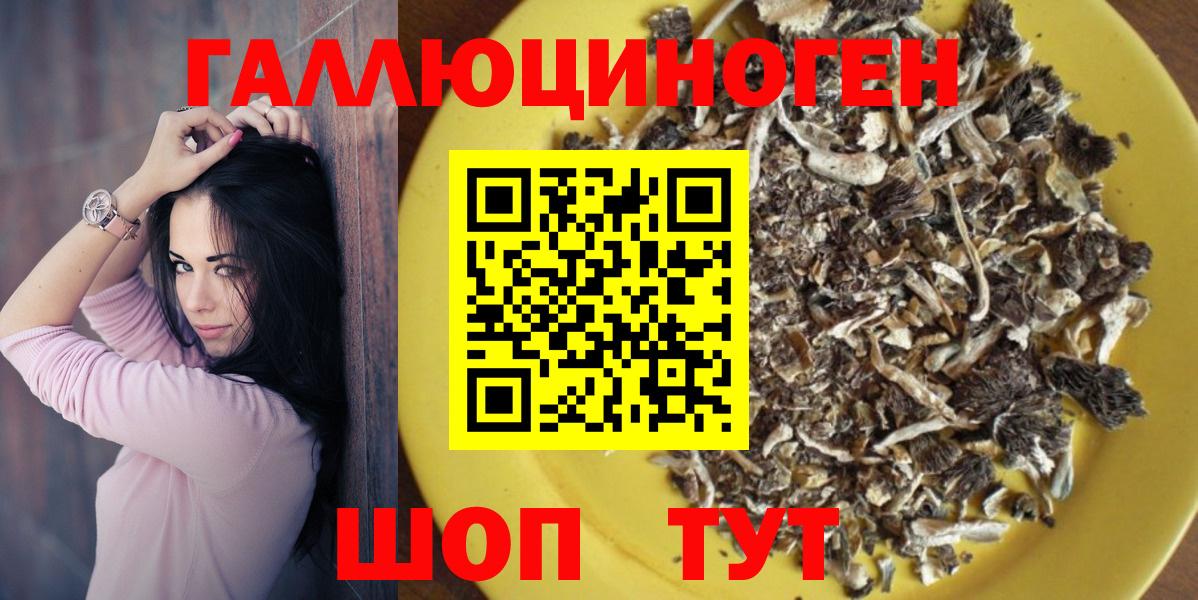 Псилоцибиновые грибы Cubensis Сокол